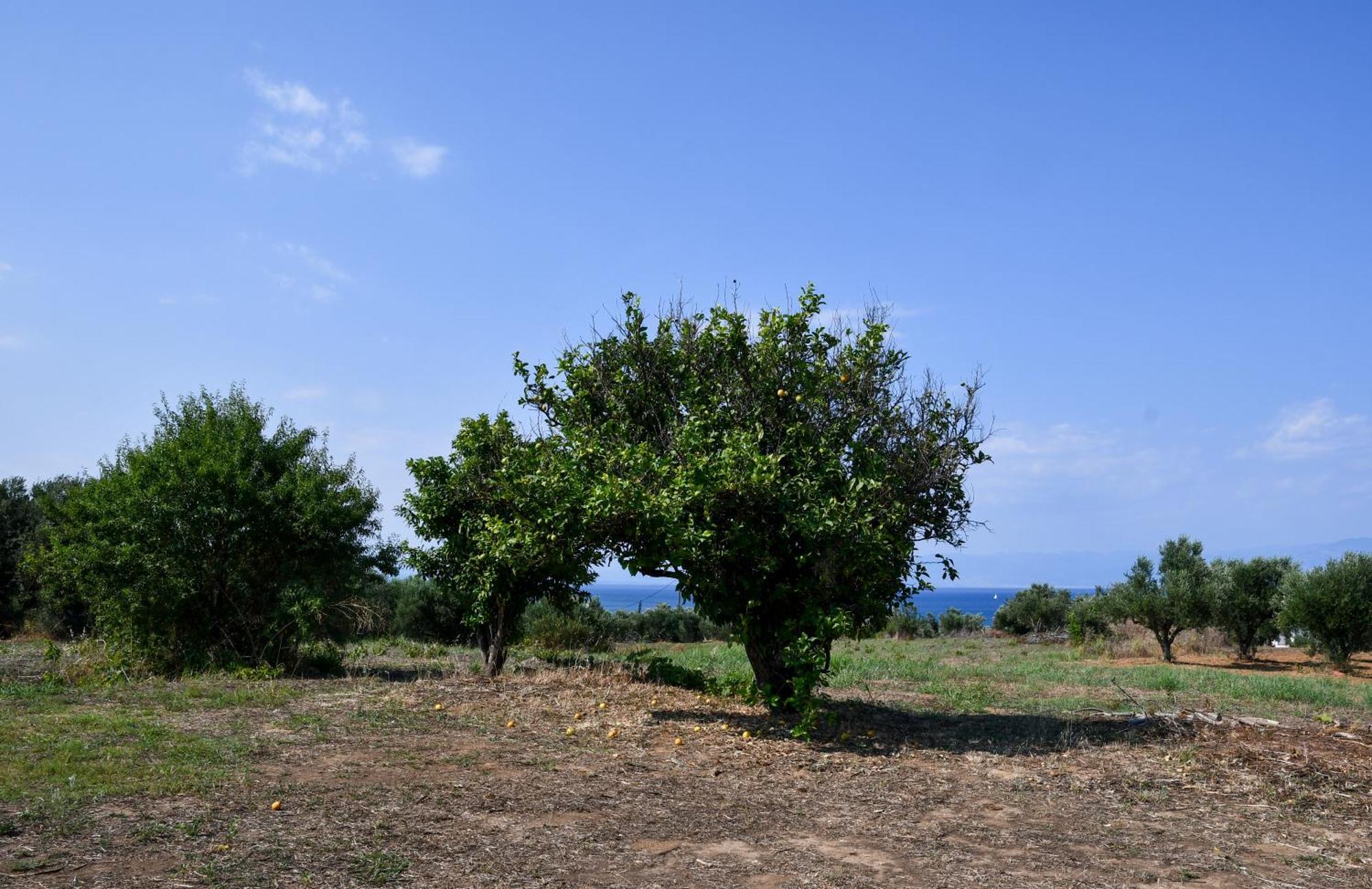 Apartmán Anastasios House Koróni Exteriér fotografie